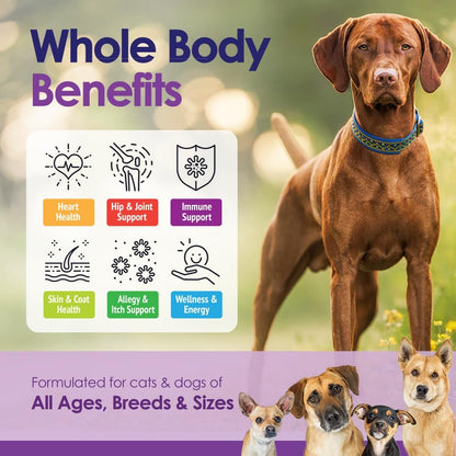 Dog Multivitamins Chewable Supplement - 22 in 1 Dog Vitamins for Itchy Skin & Coat, Immune System, Joints & Overall Health - Vitamins A, B, C, D, E, K & Antioxidants - 60 Chews - Beef Flavor