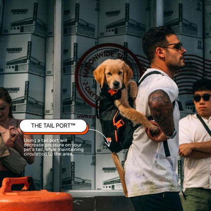 The Maxine One Medium Dog Carrier by Little Chonk | Dog Backpack Carrier for Medium Sized Breeds | Adjustable Front Facing Pet Carrier for Travel | Dog Hiking Backpack - Bark After Dark Black