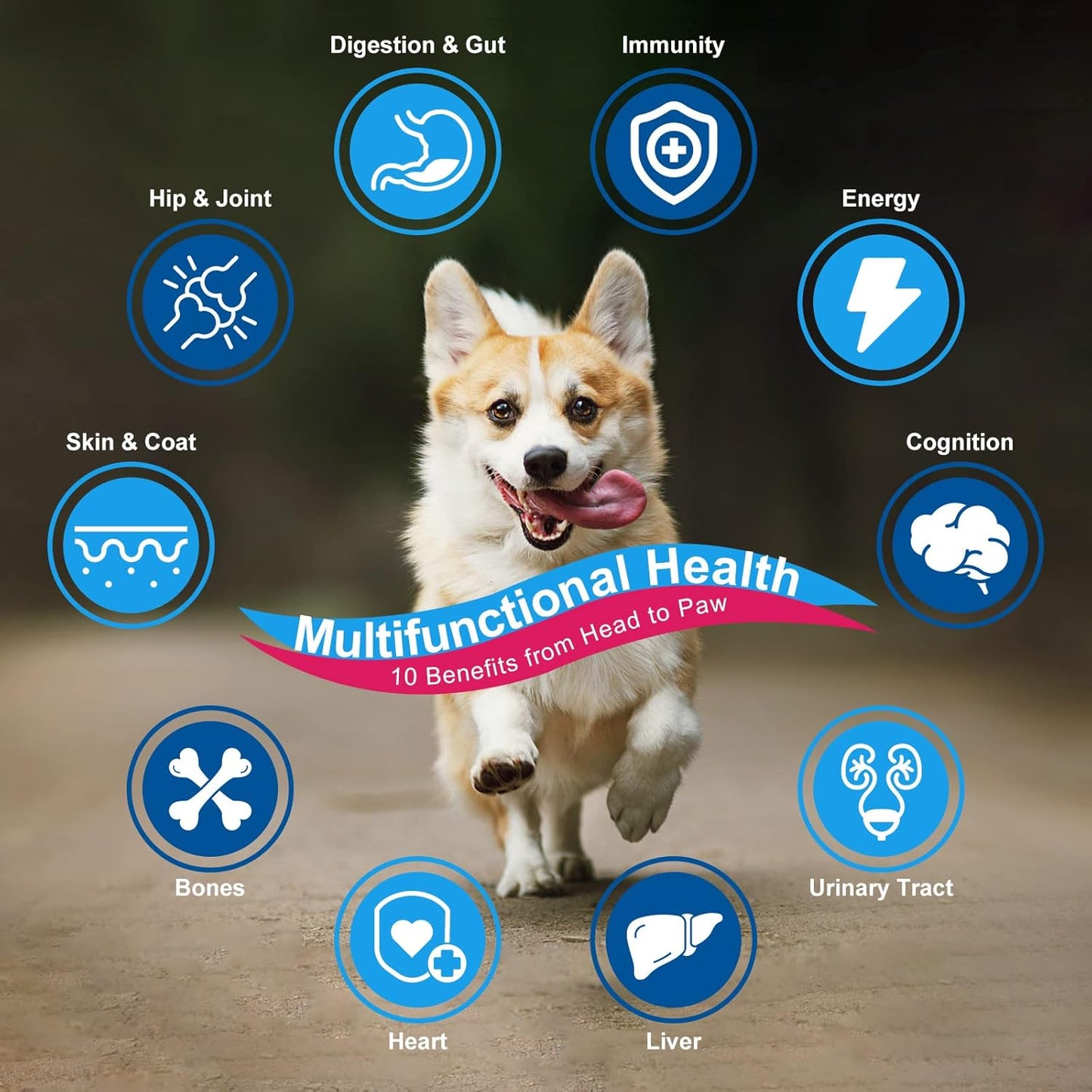 Dog Vitamins Powder with Probiotics for Dogs