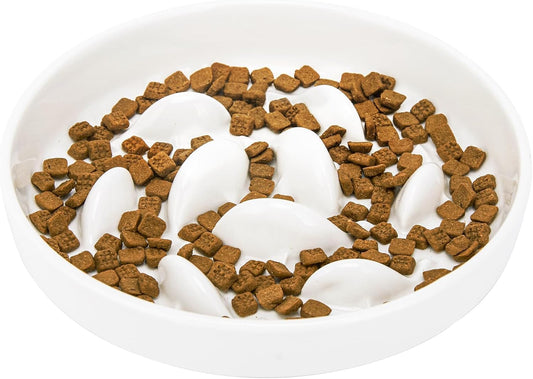 Ceramic Slow Feeder Cat Bowl 6.3'' Wide, Shallow Slow Eating Cat Bowl for Dry and Wet Food, Anti Gulping Pet Puzzle Feeder for Cats and Small Dogs, Dishwasher Safe (White)