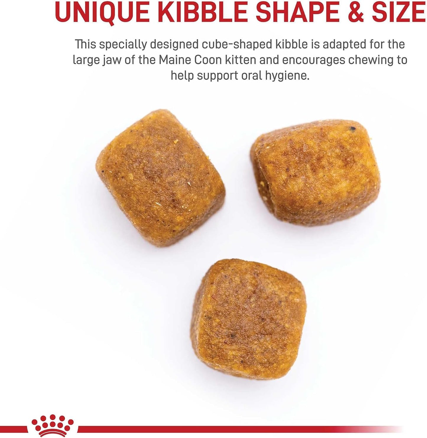 Royal Canin Feline Breed Nutrition Maine Coon Kitten Dry Cat Food, 3 lb Bag