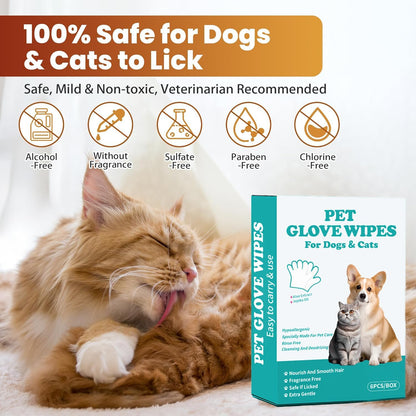 Pet Grooming Glove Wipes, 6-Pack (Individually Wrapped) - Disposable & Rinse-Free for Dogs and Cats, Unscented & Hypoallergenic - Thickened, Moisture-Rich Wipes for Cleaning, Deodorizing & Travel