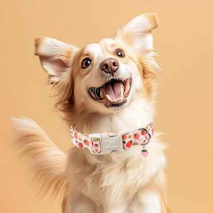 Strawberry Dog Collar for Medium Dogs - Sweet Girl Dog Collars for Spring Summer, Cute Pastel Pink & Floral Fruit Print, Adjustable Puppy Collar with Quick-Release Buckle M