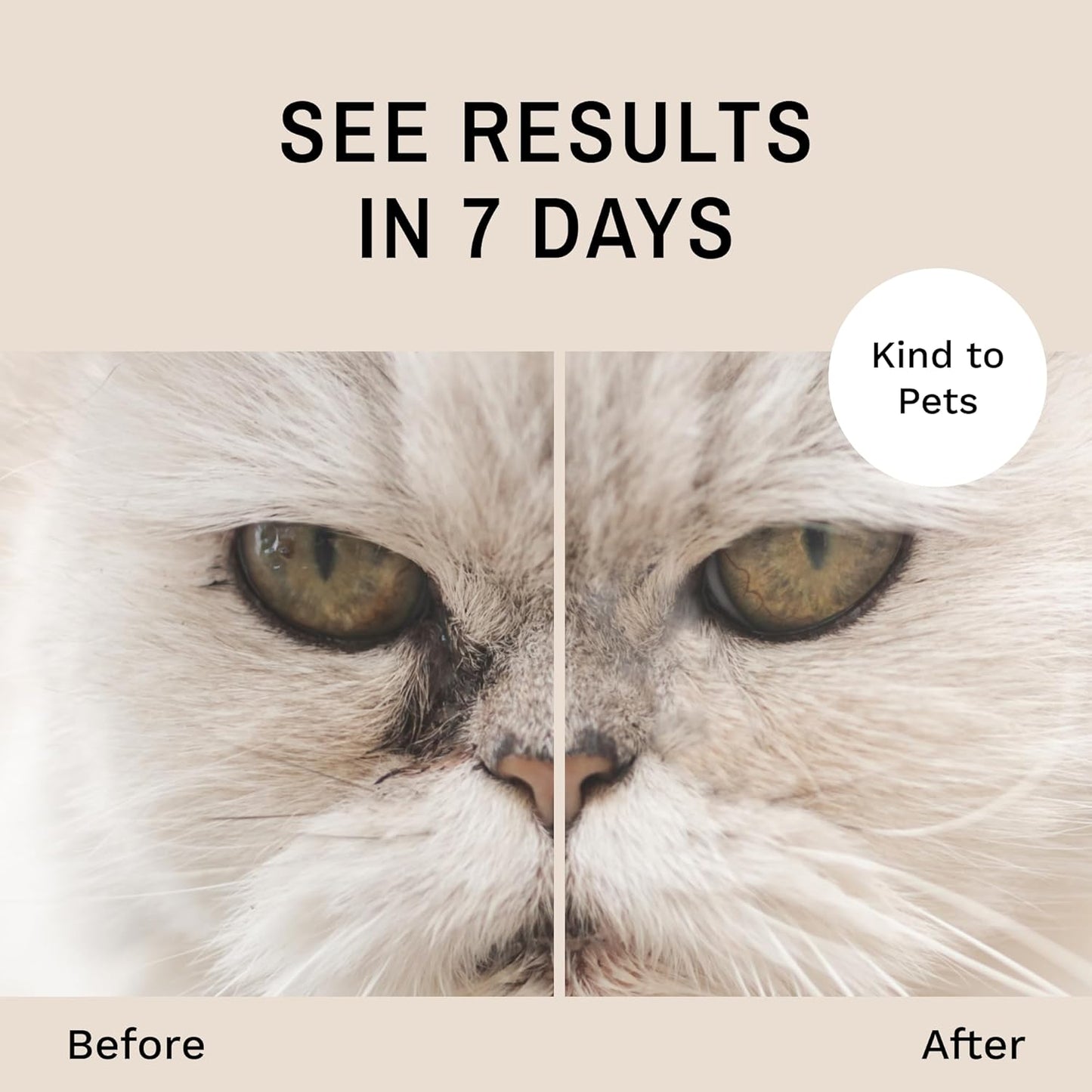 Eye Envy Cat Tear Stain Remover Starter Kit with ProPowder Brush. Stain Solution, Applicator Pads, Stain Powder, and Small Applicator Brush. Tear Stain Treatment Kit. Lasts 30-45 Days. Made in USA.