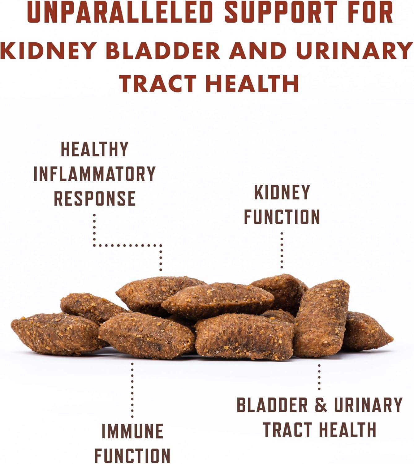 Rocco & Roxie Cat Urinary Tract Health Supplement, Cranberry and D-Mannose for Bladder, UT and Kidney Support for Cats, Vet-Recommended, Chicken-Flavored Crunchy Chews, Made in USA