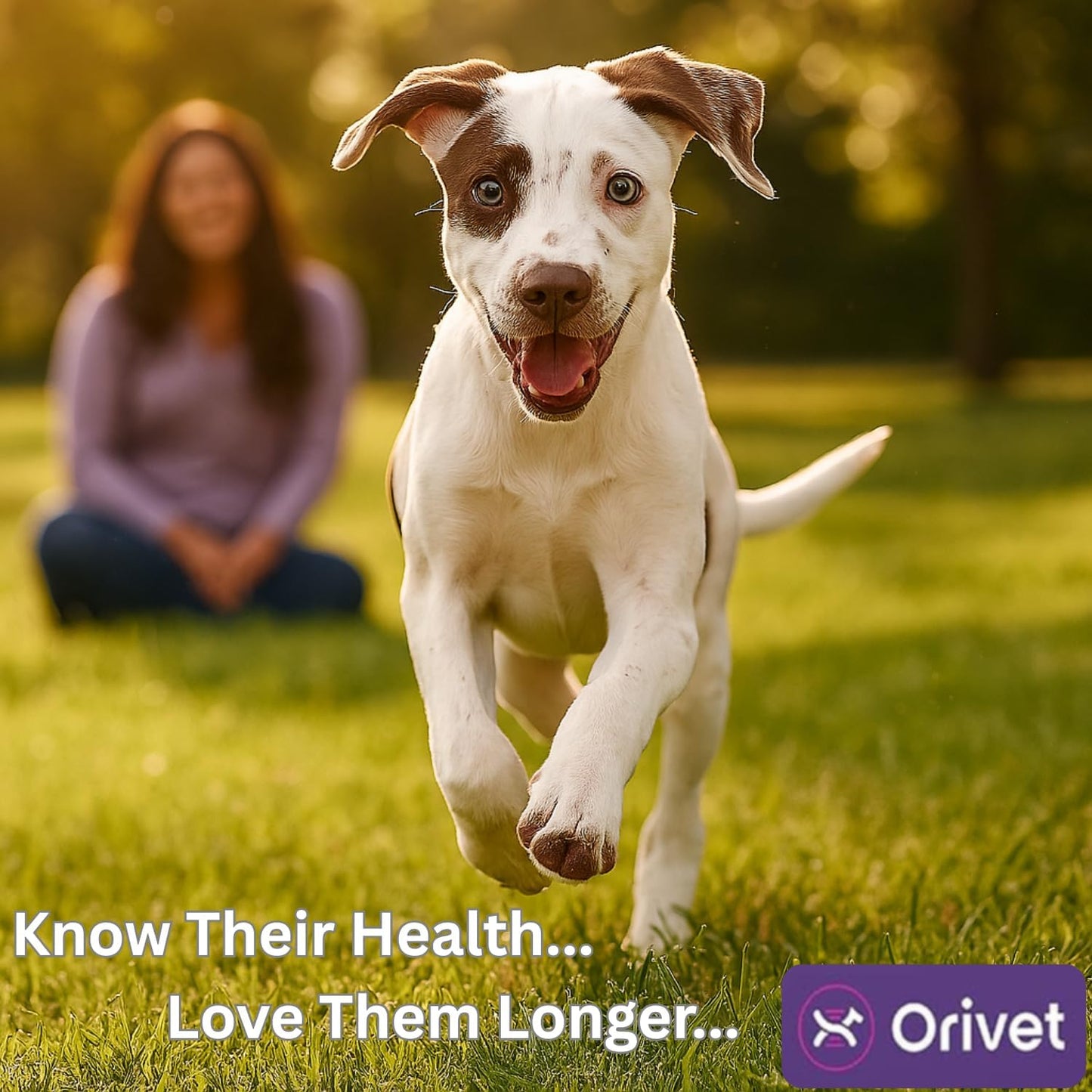 ORIVET GenoPet Dog DNA Test Kit | Vet-Approved | Identify 365+ Dog Breeds | Canine Ancestry & Genetic Health Traits | at-Home Swab | Results in 21–25 Days from Kit Arrival
