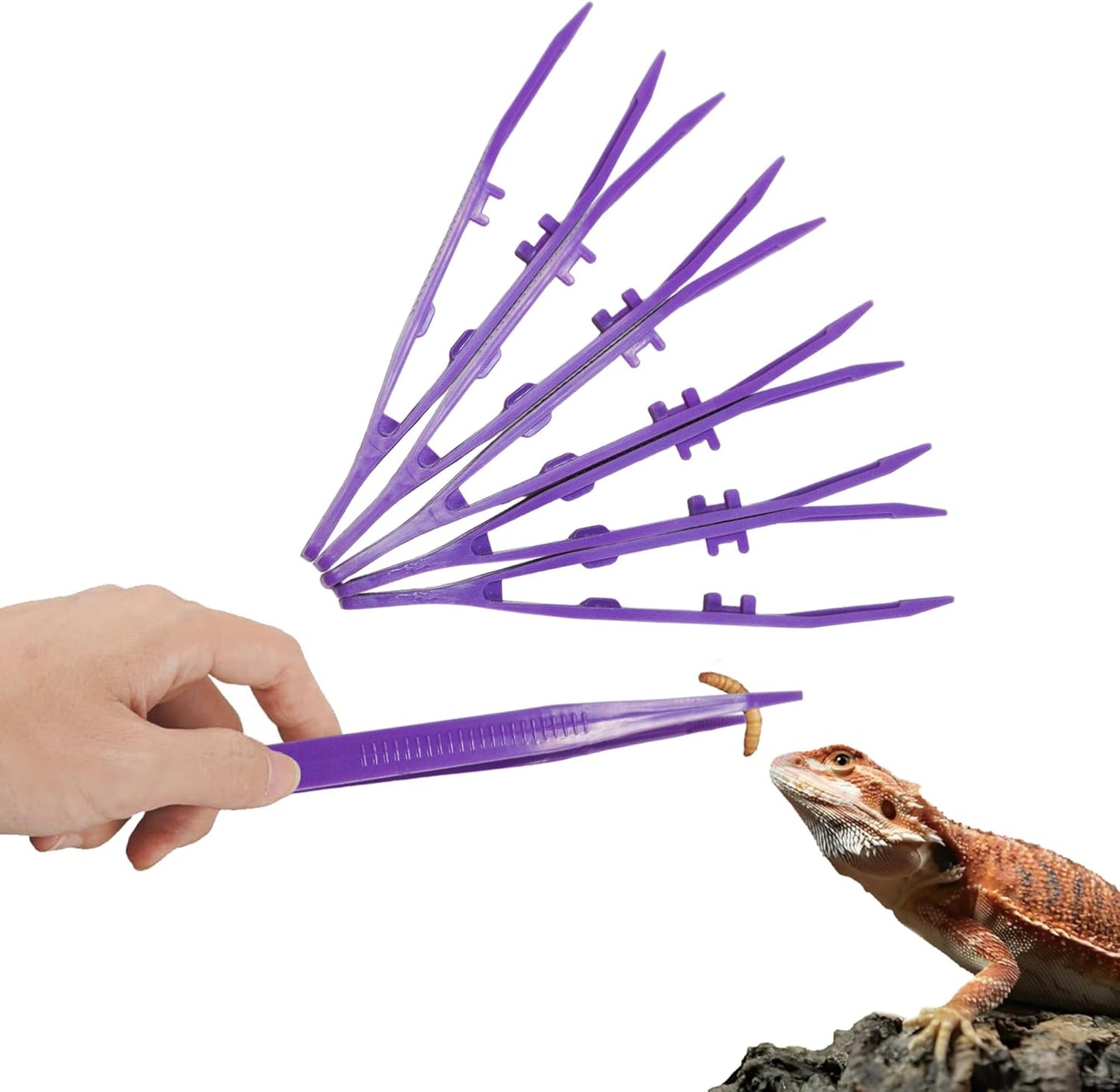 5-Pack Reptile Feeding Tongs Set - Hygienic Anti-Slip Purple Tweezers for Bearded Dragons, Lizards, Snakes, Aquariums & Small Animals(Five Colors to Choose from)
