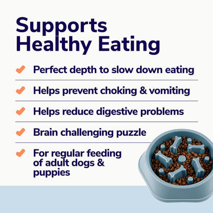 Miracle Vet Slow Feeder Dog Bowls for Fast Eaters - for Small, Medium Sized Dogs - Dog Puzzle Maze Helps Slow Down Eating - Adult, Puppy Food Bowl for Bloat Stop - Non-Slip Feeder Bowl (Blue)