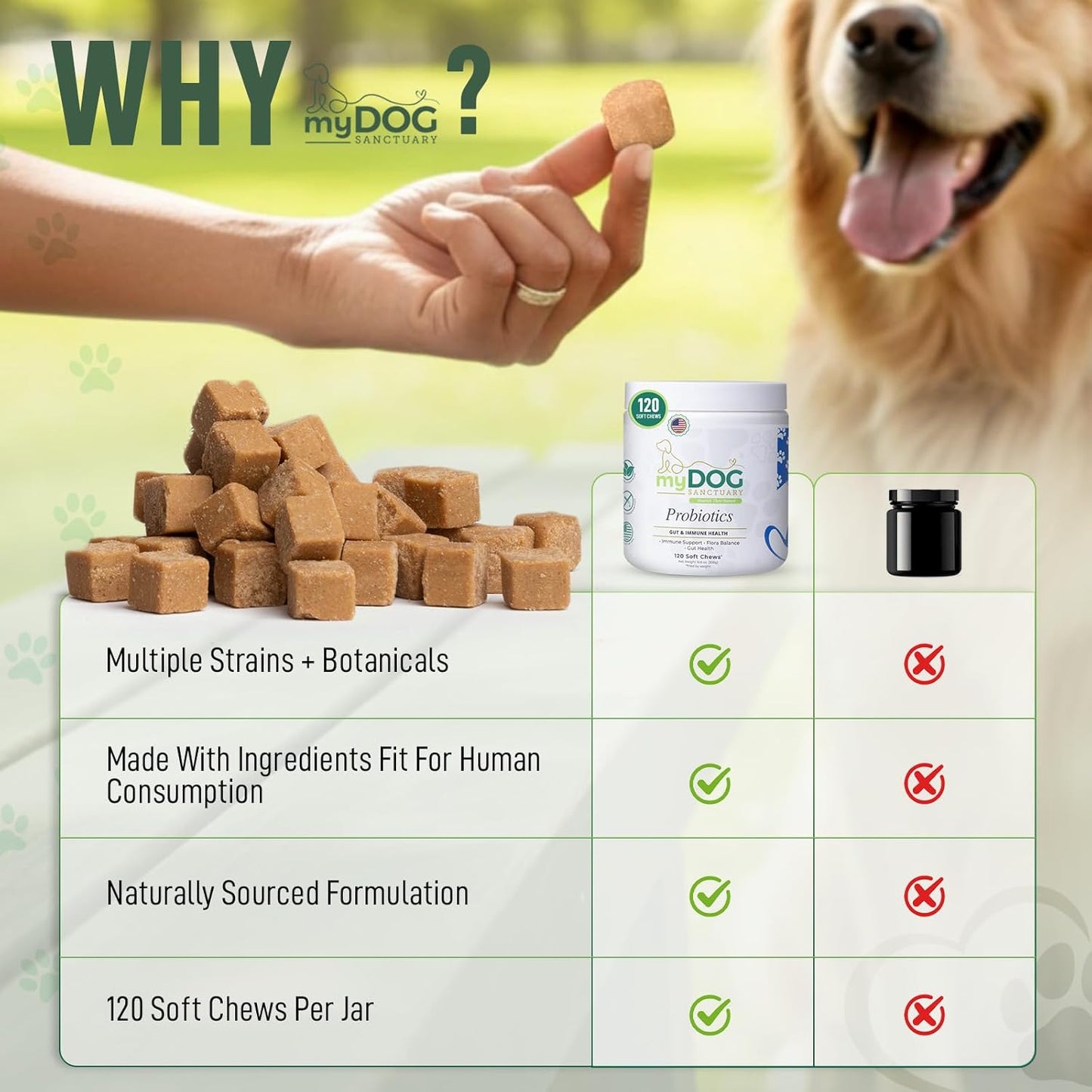 Probiotics for Dogs 120 Chews - Digestive Enzymes & Gut Health Support with Pumpkin Seed, Ginger Root – Dog Probiotics for Diarrhea, Bowel & Immune Support - Bacon Flavor, Soft Chews