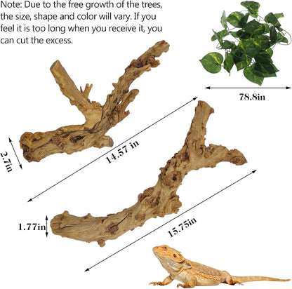 VCEPJH 2 Pack Reptile Wood Branches, Snake Climbing Branch Natural Bearded Dragon Log and 4 Pcs Reptile Plants, Climbing Wood Branch Terrarium Hanging Fake Plant Leaves for Snake Leopard Gecko Lizard