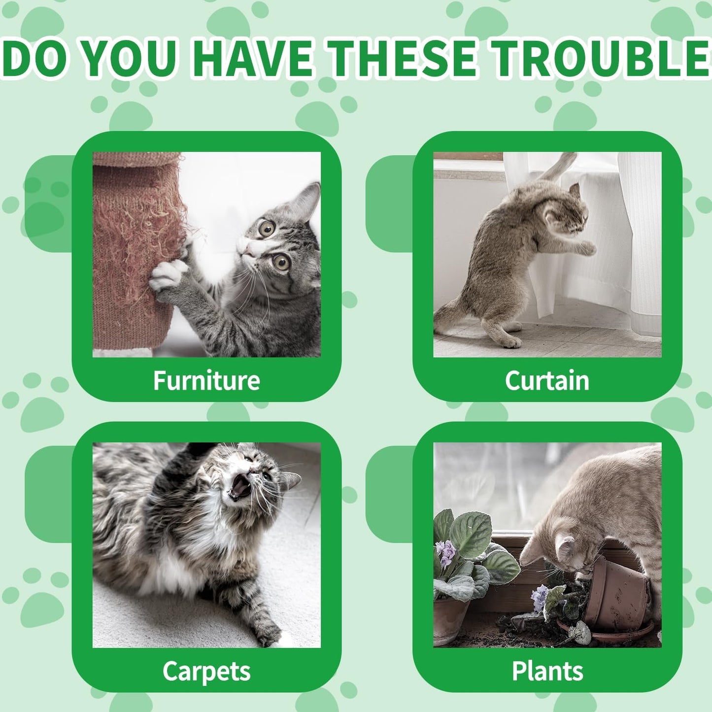 Ponal Cat Repellent Outdoor, Natural Peppermint Oil Cat Deterrent Outdoor Indoor, Keep Cats Off Lawn, Yard, Garden, Mulch & Flower Permanently Against Scratch and Chew, Keep Cats Away, 10 Pack