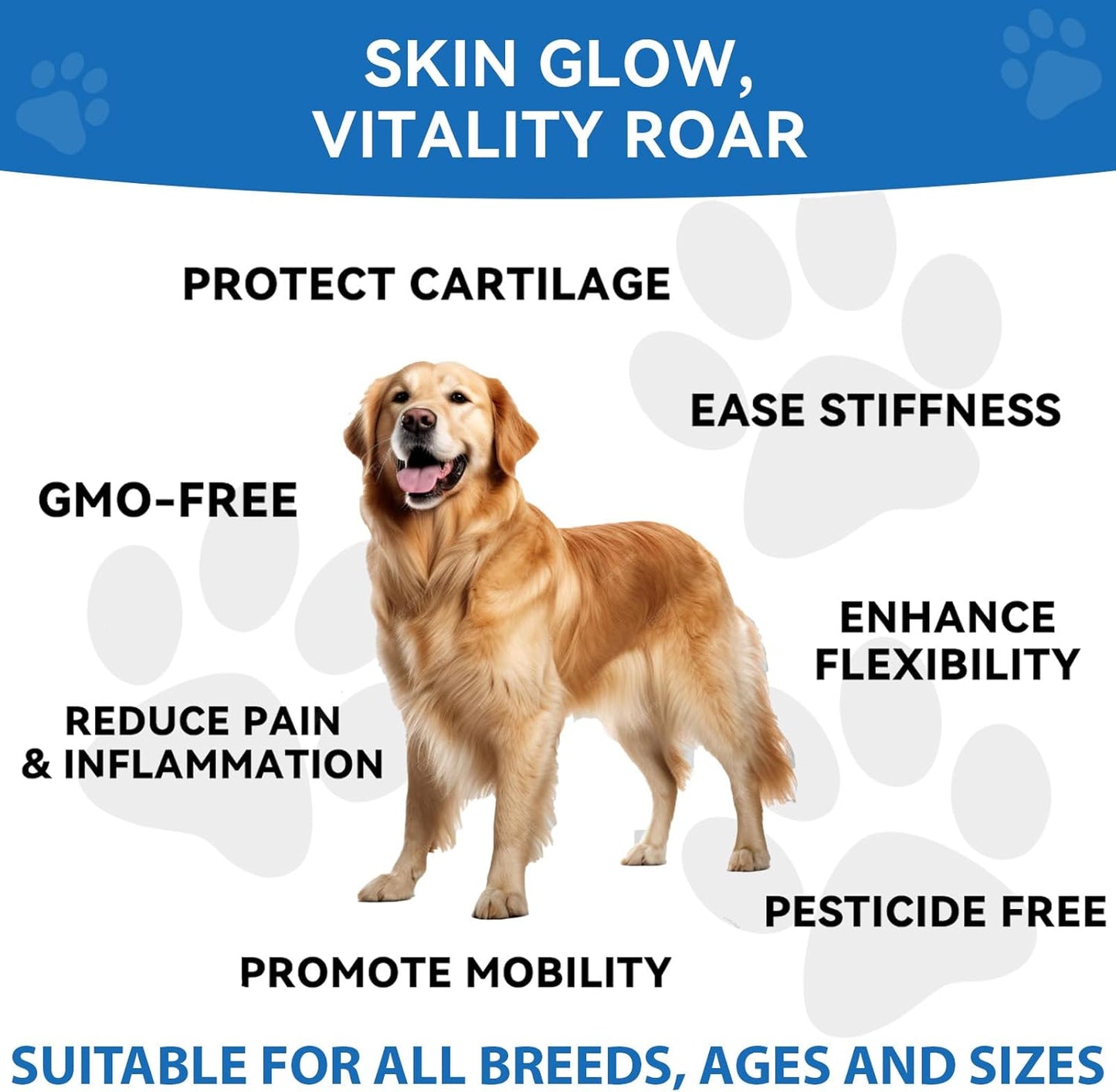 Biotic's Gain - Dog Multivitamins, 25 in 1 Complete Care, 120 Soft Chews, Chicken Flavour (120, Hip & Joint Care)