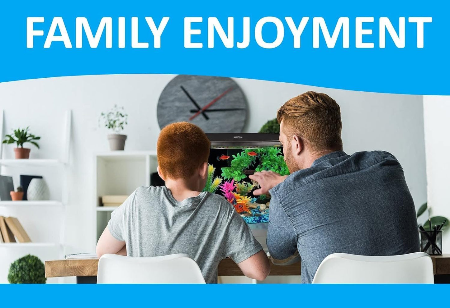 Koller Products 5-Gallon Aquarium Kit with LED Lighting and Power Filter, Ideal for a Variety of Tropical Fish