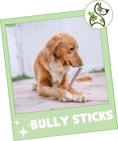 Nature Gnaws Bully Sticks for Dogs 11-12" (8oz) - Mixed Thickness - Long Lasting for Aggressive Chewers and Large Dogs - Natural Beef Dog Chew Bones