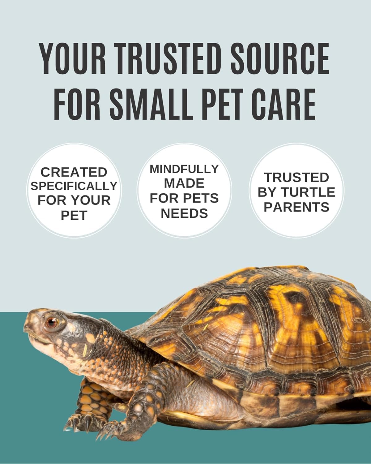 Shellstrong Premium Calcium Block for Aquatic Turtle - Slow Release Water Tank Conditioner - Cuttlebone for Aquarium - Turtle Tank Accessories - 20 Gallon Aquatic Tank Treatment (3 Calcium Blocks)