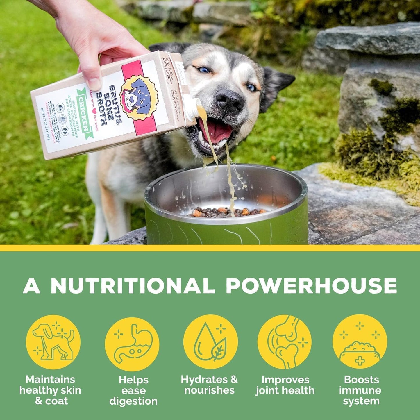 Brutus Broth for Dogs - All Natural Bone Broth for Dogs with Chondroitin Glucosamine Turmeric -Human Grade Dog Food Toppers - Beef and Pork Bundle