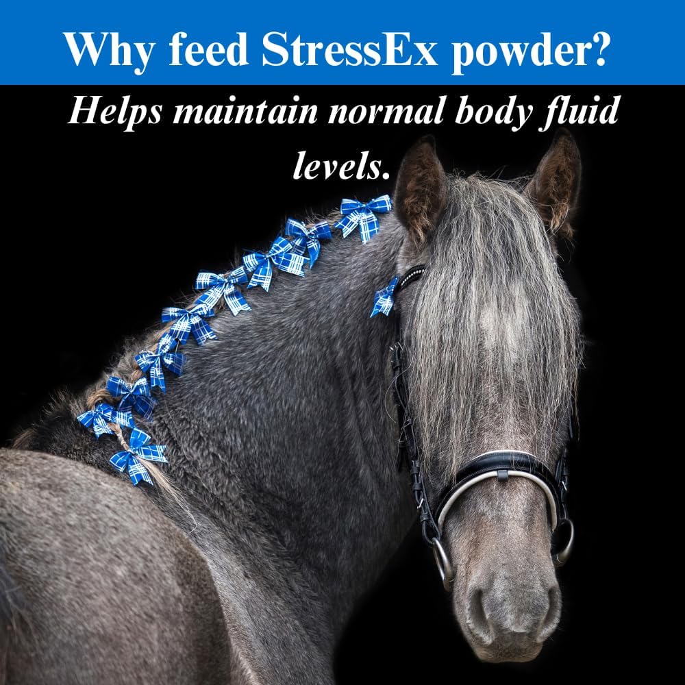 SU-PER Stress-Ex Horse Electrolyte Supplement - Maintain Normal Body Fluid Levels - Electrolytes Replenishment for Hydration - 4 Pound, (2 Pack)