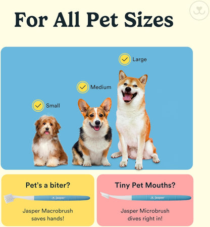 Jasper Dog Toothbrush, 360 Dog Tooth Brushing Kit, Finger Toothbrush, Cat Tooth Brush, Teeth Cleaning, Pet Tooth Brush for Small & Large Pets, Pet Toothpaste Not Included, 2-Pack Blue