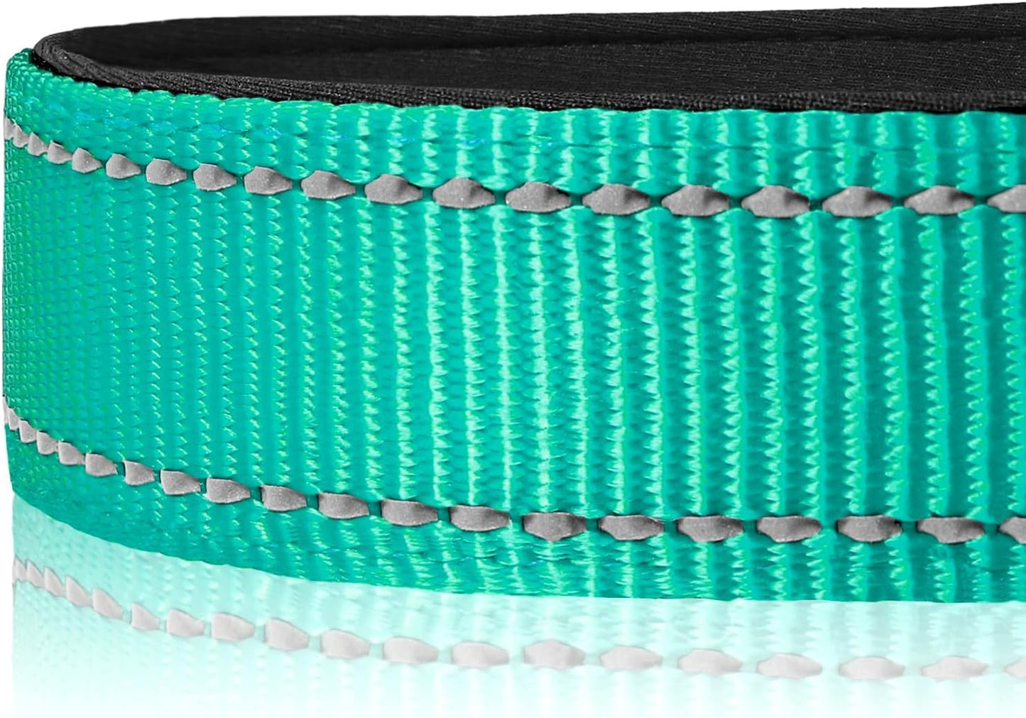 Joytale Reflective Dog Collar, Soft Neoprene Padded, Metal D-Ring, Nylon Pet Collar Adjustable for Large Dogs, Teal, L