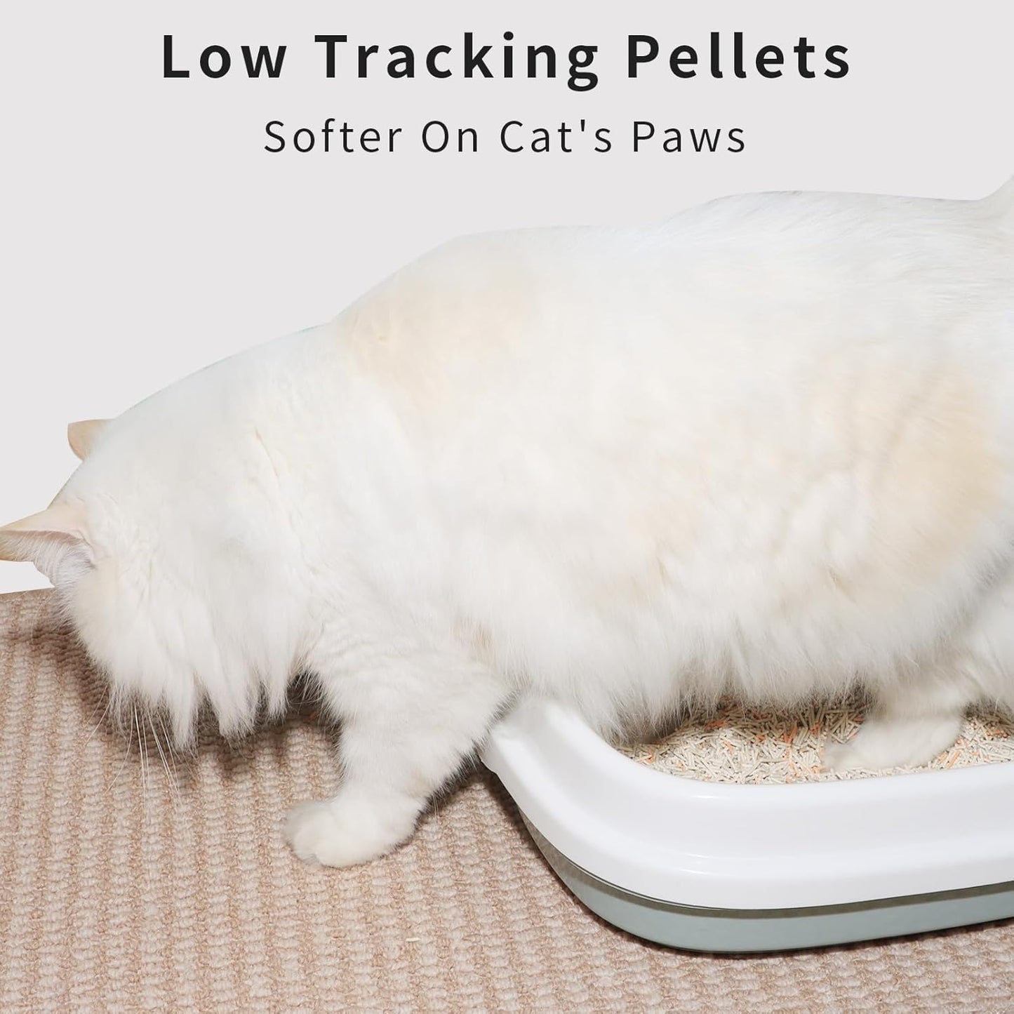 Flushable Tofu Cat Litter, Vanilla Scented – 2.5kg Bag, 100% Natural Plant-Based, Dust-Free, Fast Clumping, Odor Control, Low Tracking, Tofu Litter for Cats