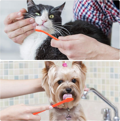EASYA Double Headed Pet Dog Toothbrush for Small Dogs/Soft Bristles Puppy Long Handle Tooth Brush Dogs Teeth Cleaning/Bulk Toothbrushes (Mixed10 Newly Upgraded)