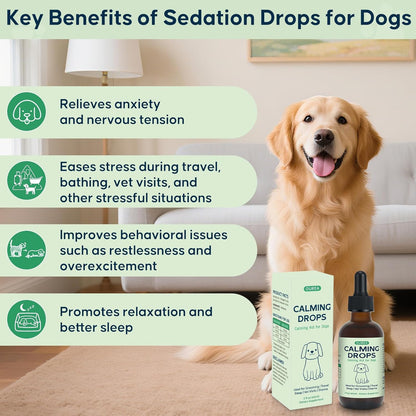 Calming Drops for Dogs Grooming – Melatonin & Valerian Root Formula to Help Maintain Calm During Grooming and Nail Trimming – Also Great for Travel, Vet Visits & Bedtime – 2 fl oz