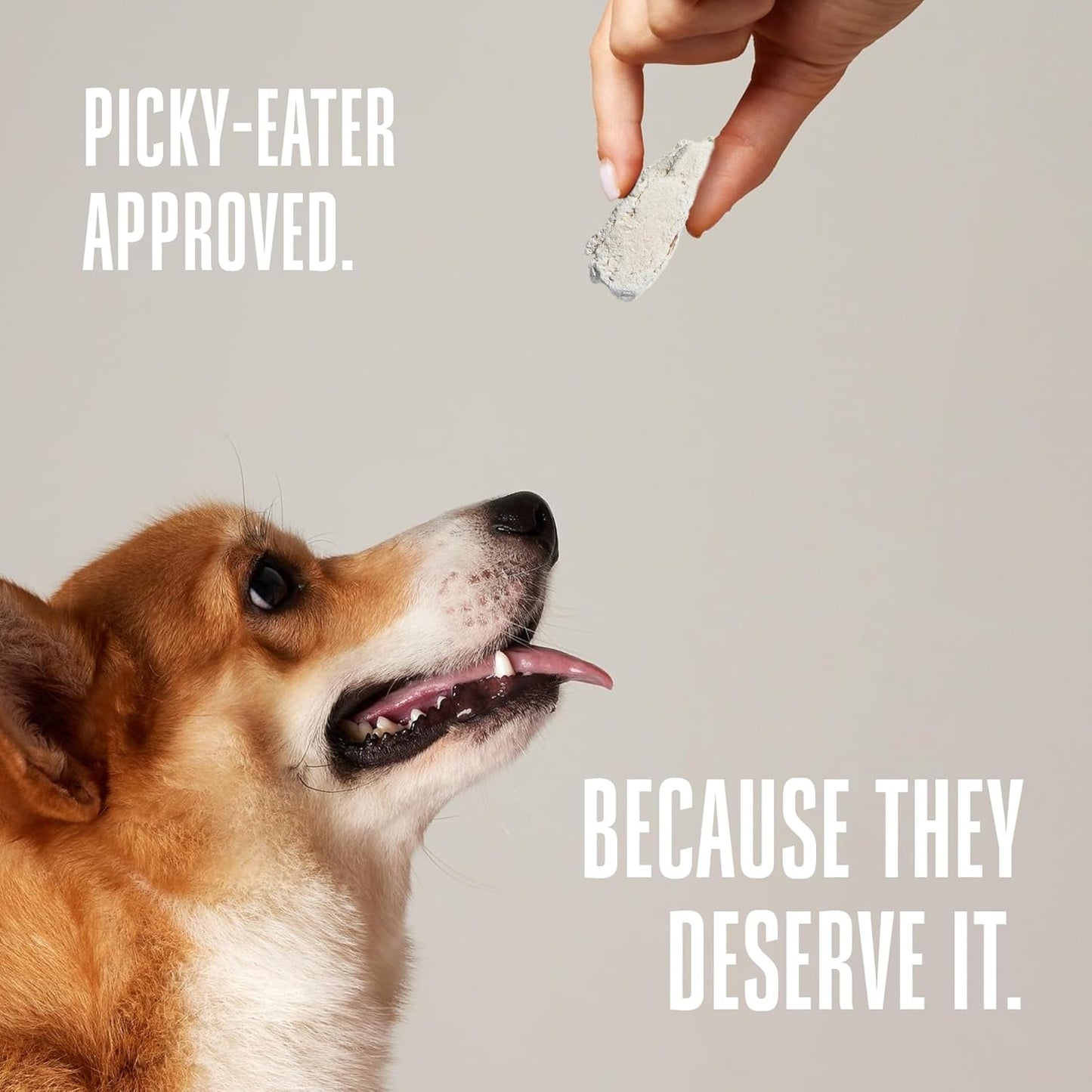 Whole Life Dog Just One Chicken Freeze Dried Dog Treats - Human Grade High Protein Food, Healthy Training Snacks, Freeze Dried Food Toppers, USA Made Natural Treats - 10 oz (Value Pack of 1)