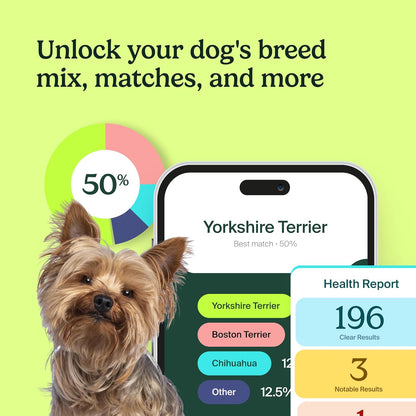 Ancestry Dog DNA Test: The Top-Selling DNA Consumer Brand, Breed Identification, Trait Insights, Health Report, Canine Genetics Analysis, Unique Pet Parent Gift, New Puppy Essentials
