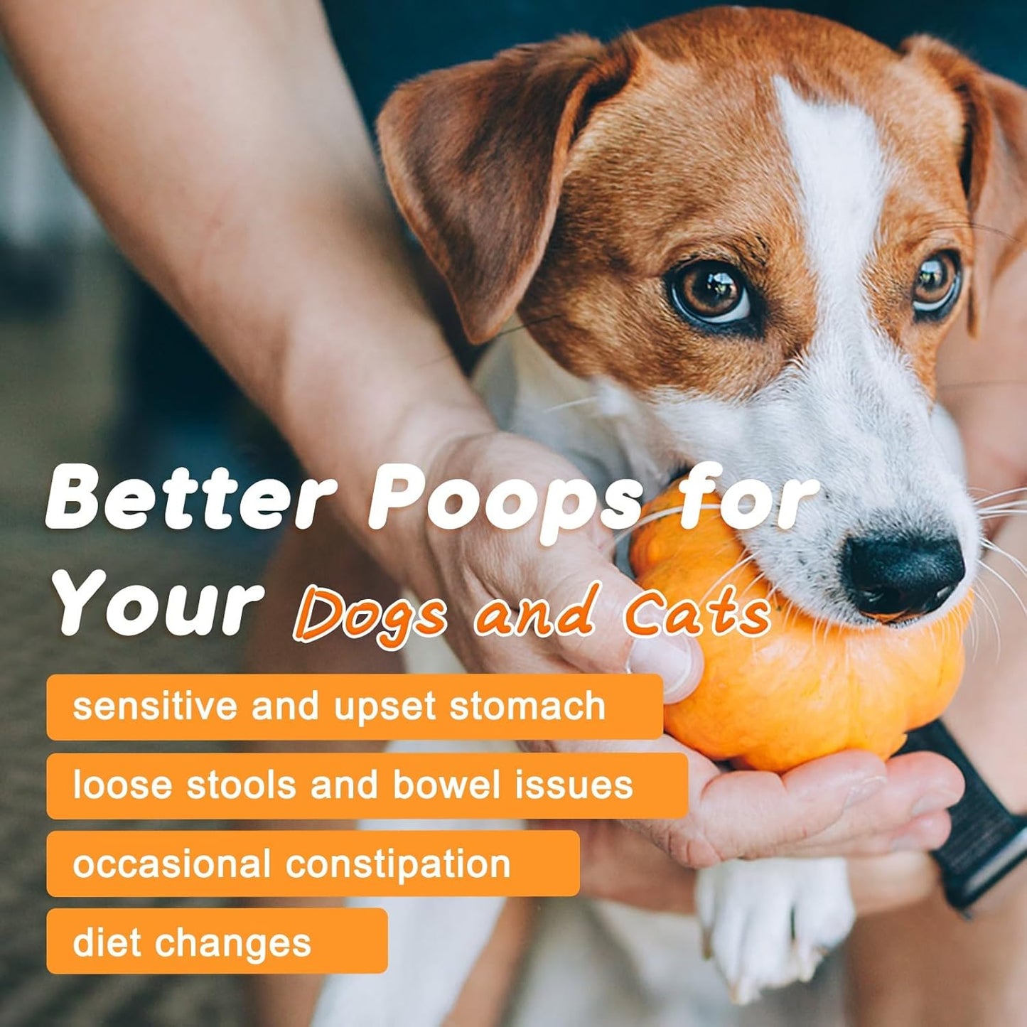 NATURE TARGET Pumpkin for Dogs, All Natural Fiber for Dogs, with Digestive Enzymes, Apple, Healthy Stool and Dog Digestive Support, Diarrhea, Constipation Relief, Pumpkin Powder for Dog to Make Puree