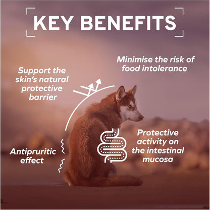 Forza10 - Dog Food, Dermo Dry Food for Itchy Skin, Sensitive Stomach & Coat Health, Limited Ingredient Dog Food, Non-GMO, Fish Flavor, Made in Italy (22 lb)