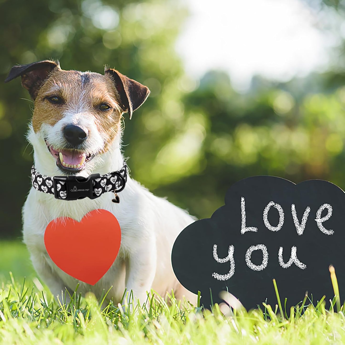 ARING PET Valentine's Day Dog Collar, Cute Black White Heart Puppy Pet Necklace for Small Medium Large Boy Girl Dogs-L