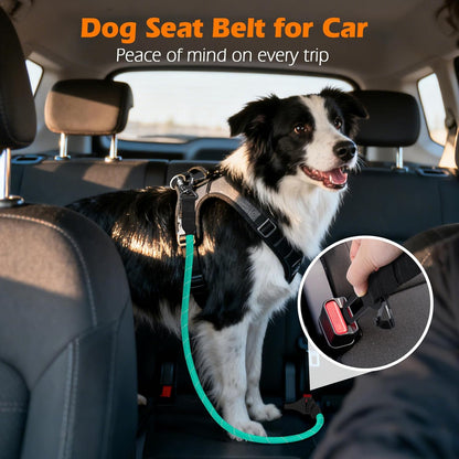 PetBonus Safety Wrist Strap for Retractable Dog Leash and Dog Seat Belt for Car
