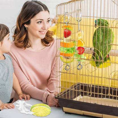 6 PCS Bird Treats Skewer, Parakeet Hanging Food Holder, Stainless Steel Fruit Vegetable Stick Holder, Cockatoo Cockatiel Cage Treating Tool, Hanging Foraging Bird Toys
