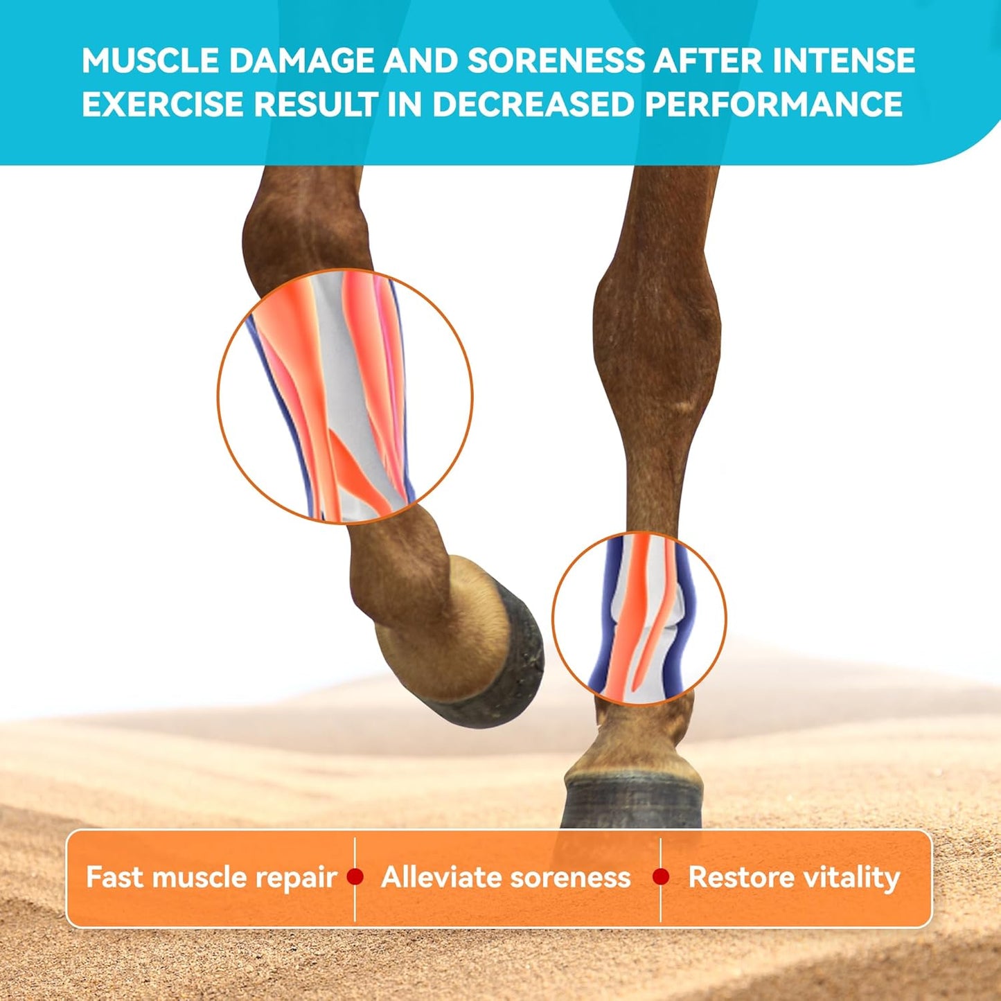 Natural Vitamin E & Selenium for Horses Muscle Build Support for Active Horses Equine Vitamin E Powder Supplement 30-Day Supply