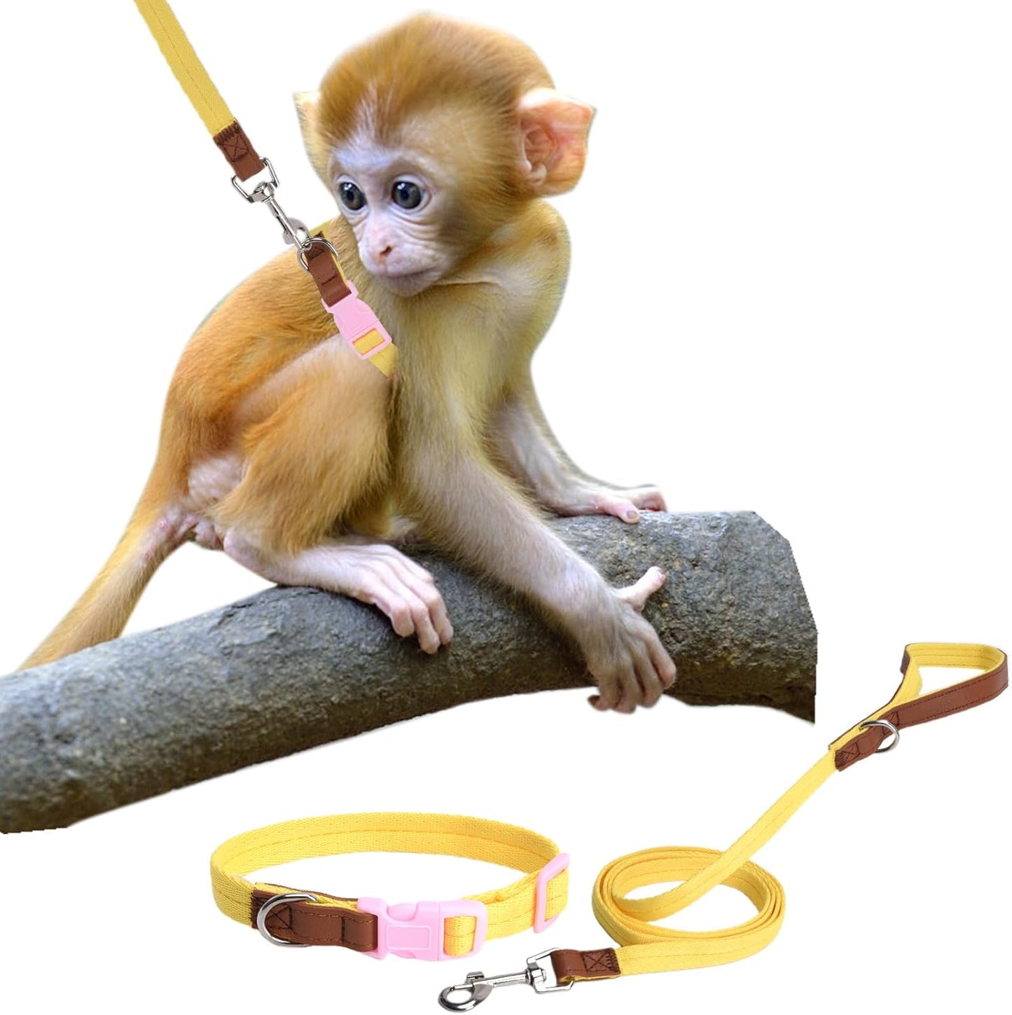 Mini Monkey Leash, Adjustable Monkey Strap with Belly Bands and Matching Leash for Marmoset Monkey, Maximum Dimension 5.7 Inches for Monkey, Comfortable and Durable