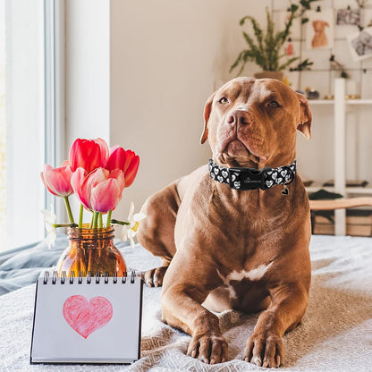ARING PET Valentine's Day Dog Collar, Cute Black White Heart Puppy Pet Necklace for Small Medium Large Boy Girl Dogs-L