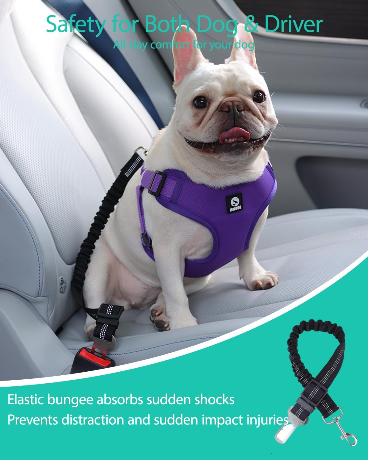 Dog Seat Belt Harness for Car,Padded Dog Car Safety Vest Harness,2 in 1 Seatbelt Tether with Elastic Bungee Journey Harnesses for Small Medium Large Pets (Purple X-Large)