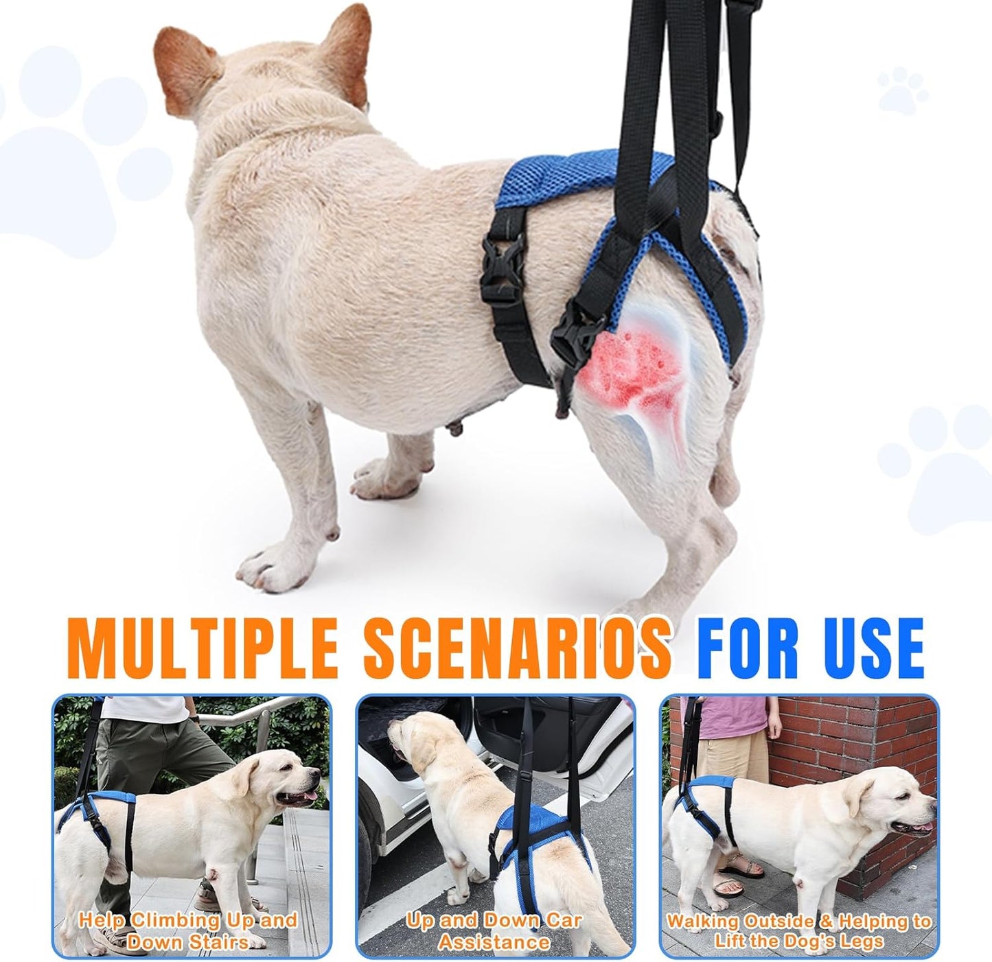 Dog Litf Harness, Dog Sling for Large Dogs Hind Leg Support, Hind Leg Support to Help Rehabilitate, for Elderly, Injured, Arthritic Dogs, L