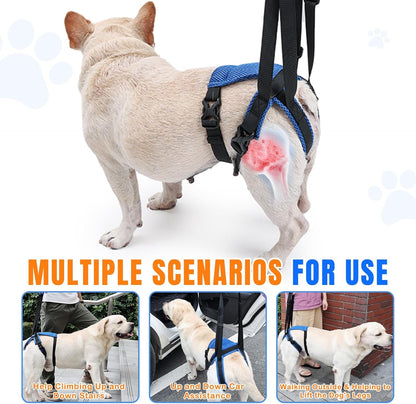Dog Litf Harness, Dog Sling for Large Dogs Hind Leg Support, Hind Leg Support to Help Rehabilitate, for Elderly, Injured, Arthritic Dogs, L