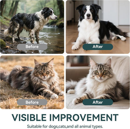 WLP Pet Glove Wipes for Dogs & Cats, Individually Wrapped Cleaning Deodorizing Hypoallergenic Hydrating Grooming Wipes, Enriched with Aloe & Jojoba Oil for Daily Care, Traveling (6 PCS)