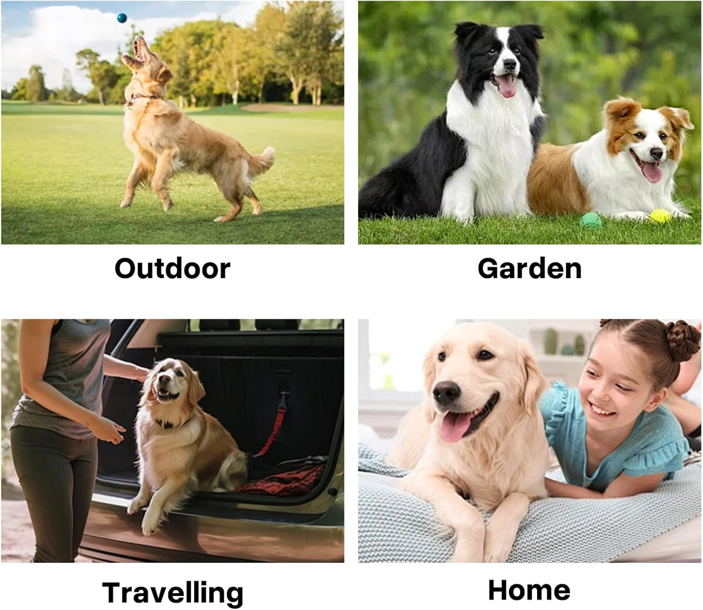 WGP Pet Glove Wipes for Dogs Cats, Cleaning & Deodorizing Grooming Gloves, Dog Wipes for Body Daily Care, Cat Grooming Wipes Cleaning Fur Traveling Rinse Free, Odorless and Unscented, 3pack/18pcs