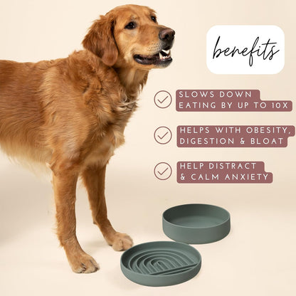 Should We Go? Slow Feeder for Dogs & Puppies, The Slowdown Bowl Silicone Slow Eating, Modern Lick Mat Design, Reduces Gulping, Fits 2.5 Cups, 9.5” Across x 1.5” Tall, Mealtime Challenge, Large-Spruce