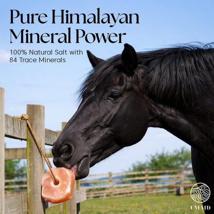 UMAID Himalayan Salt Lick 3 lbs On Rope for Horse, Deer, Goat, and Livestock Animals - Himalayan Salt Block 6 Pack