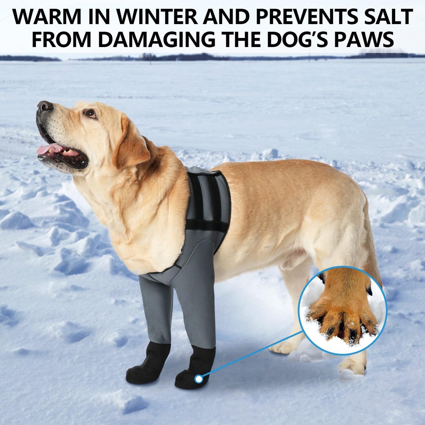 Dog Socks & Boots - Waterproof Anti-Licking Paw Protectors with Non-Slip Bottom, Post-Surgery Recovery Sleeves for Wound Protection (Grey, M)