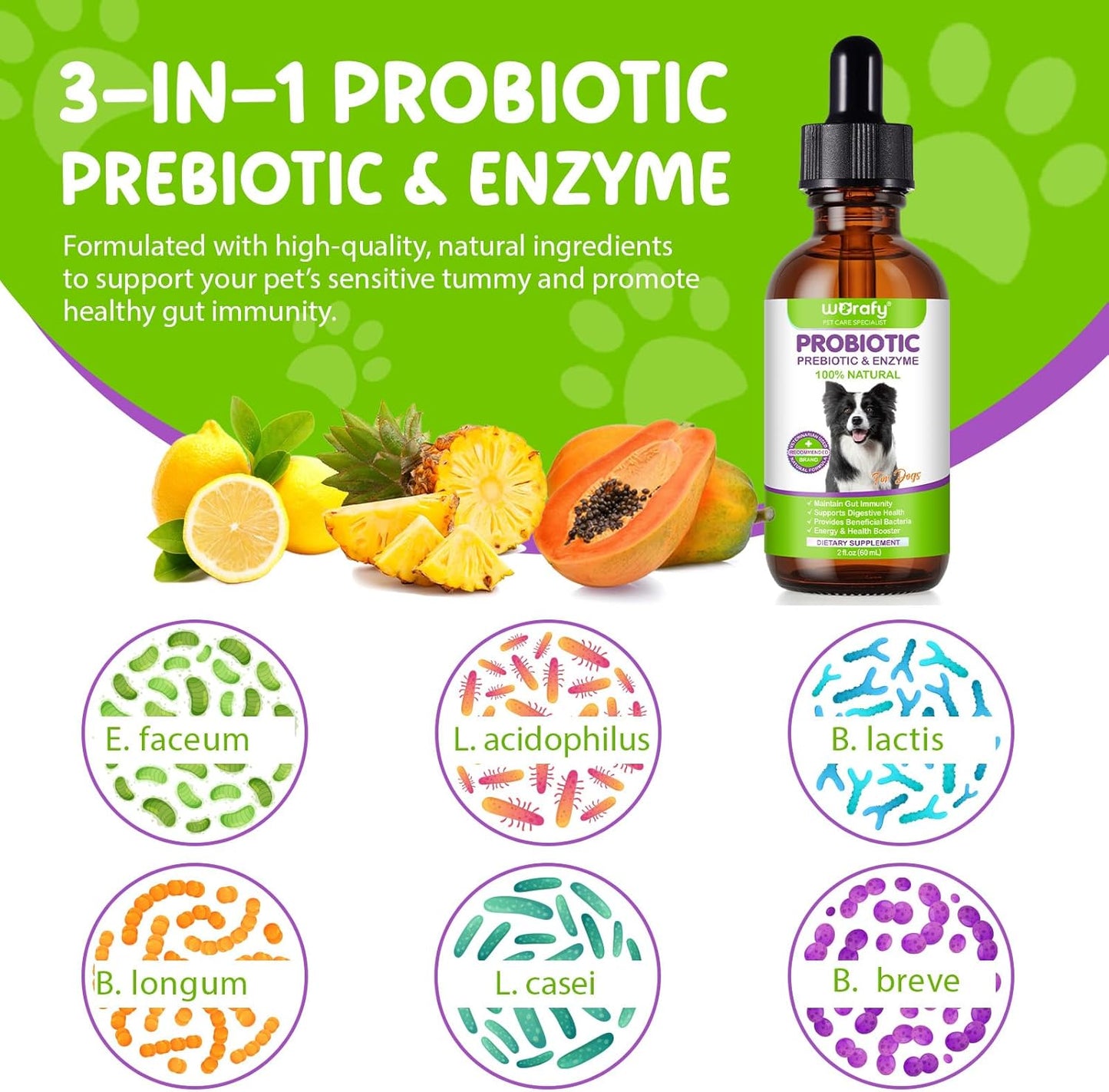 Dogs Probiotic Prebiotic & Enzyme 3-in-1 Liquid Drops, Maintain Gut Immunity Supports Digestive Health, Pre and Probiotics Supplement for Dogs (2 fl.oz /60 mL)
