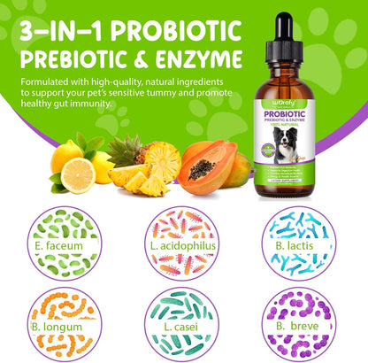 Dogs Probiotic Prebiotic & Enzyme 3-in-1 Liquid Drops, Maintain Gut Immunity Supports Digestive Health, Pre and Probiotics Supplement for Dogs (2 fl.oz /60 mL)