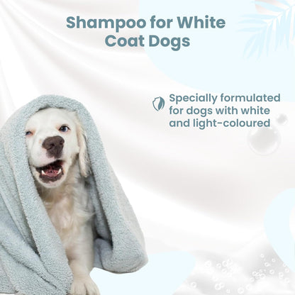 Bio Petactive Diamond White Shampoo for Dogs | Brightens, Removes Stains and Restores White Coats | Deep Cleans & Deodorizes with Long-Lasting Coconut Scent | 8.45 fl oz
