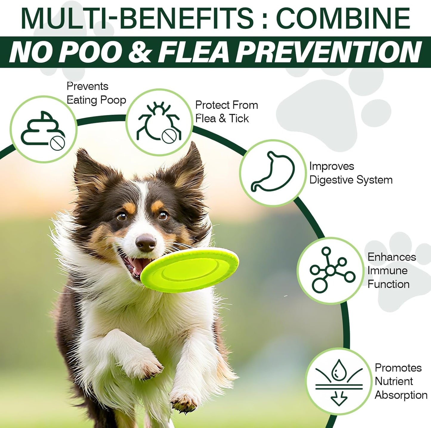 200 Chews No Poo Chew for Dogs-Flea and Tick Prevention Chews-2 in 1 Control Coprophagia & Flea Tick Supplement-Natural Soft Treats Deterrent Eat Poop with Digestive Enzymes Probiotics-Chicken Flavor