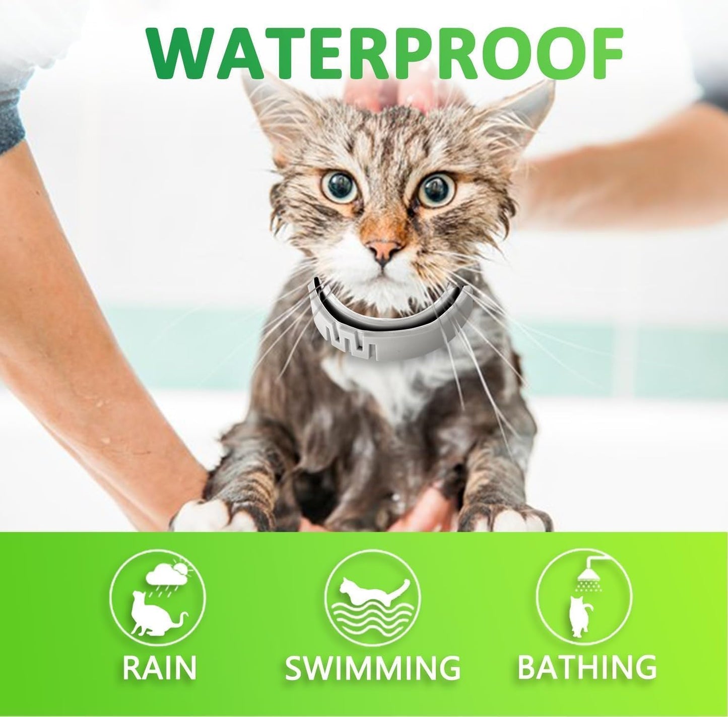 Flea and Tick Collar for Cats, 8 Months of Cat Flea Collar Protection Made with Premium Plant Based Essential Oil Natural Treatment Prevention Free Comb and Prevention Treatment Drop