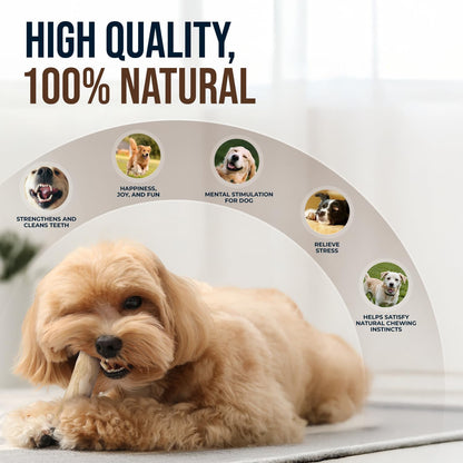 4Pcs Coffee Wood Chew Stick & Hemp Dog Ball Toy for Small & Medium Dog 25-50lbs, 100% Natural, Teething Chewing Interactive to Keep Them Busy, Wood Chew Toy for Birthday